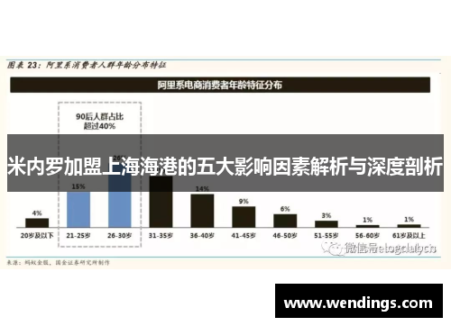 米内罗加盟上海海港的五大影响因素解析与深度剖析