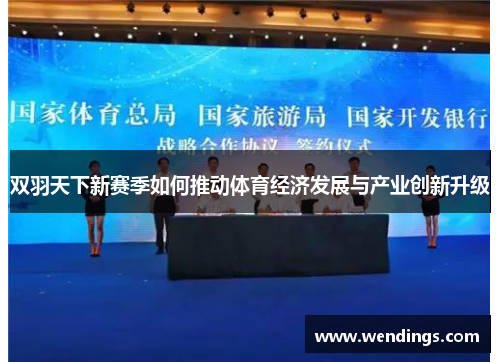 双羽天下新赛季如何推动体育经济发展与产业创新升级