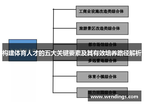 构建体育人才的五大关键要素及其有效培养路径解析