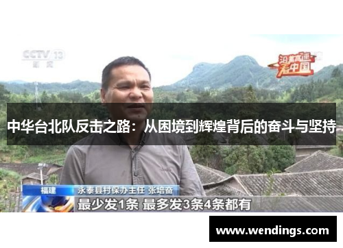 中华台北队反击之路：从困境到辉煌背后的奋斗与坚持