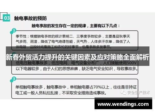 新春外贸活力提升的关键因素及应对策略全面解析
