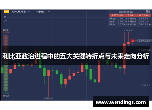 利比亚政治进程中的五大关键转折点与未来走向分析
