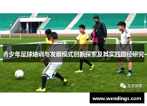 青少年足球培训与发展模式创新探索及其实践路径研究