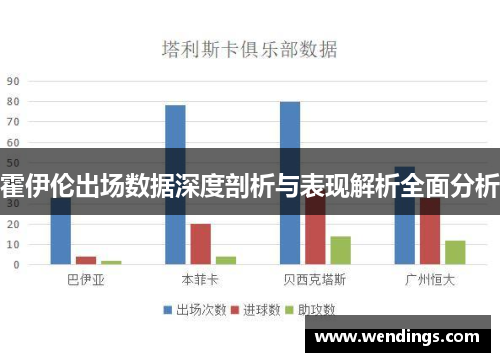 霍伊伦出场数据深度剖析与表现解析全面分析