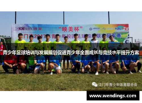 青少年足球培训与发展规划促进青少年全面成长与竞技水平提升方案