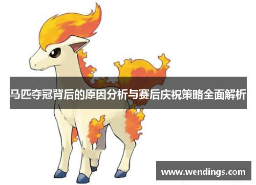 马匹夺冠背后的原因分析与赛后庆祝策略全面解析