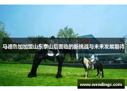 马德鲁加加盟山东泰山后面临的新挑战与未来发展期待