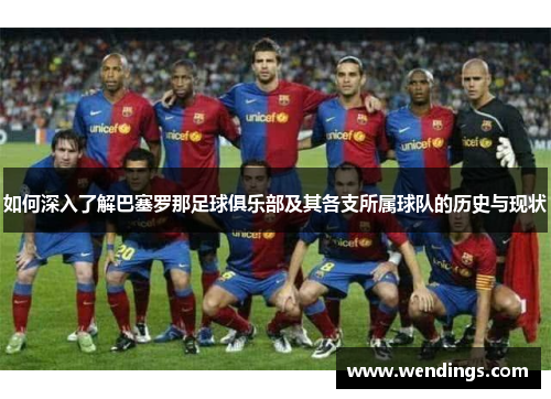 如何深入了解巴塞罗那足球俱乐部及其各支所属球队的历史与现状
