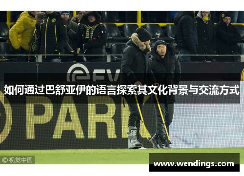 如何通过巴舒亚伊的语言探索其文化背景与交流方式