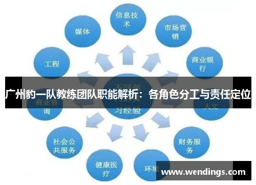 广州豹一队教练团队职能解析：各角色分工与责任定位