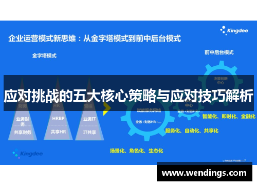 应对挑战的五大核心策略与应对技巧解析