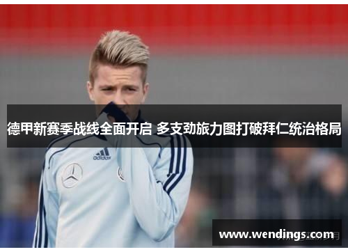 德甲新赛季战线全面开启 多支劲旅力图打破拜仁统治格局