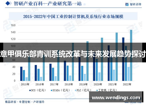 意甲俱乐部青训系统改革与未来发展趋势探讨