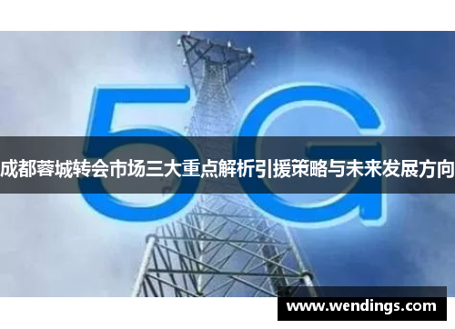 成都蓉城转会市场三大重点解析引援策略与未来发展方向